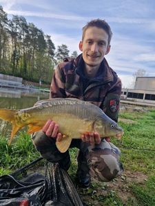Mirror Carp