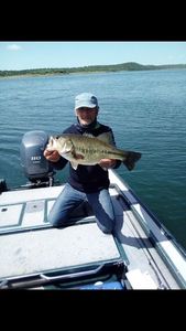 Largemouth Bass