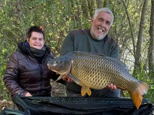 Common Carp