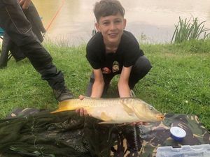 Common Carp