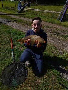 Common Carp