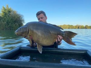 Leather Carp
