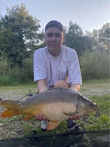 Mirror Carp