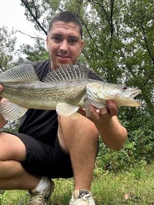 Zander