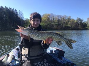Northern Pike