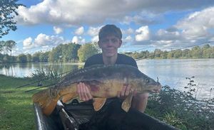 Mirror Carp