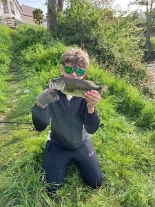 Largemouth Bass