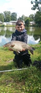 Common Carp