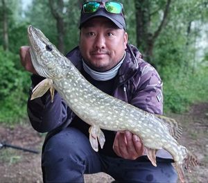 Northern Pike