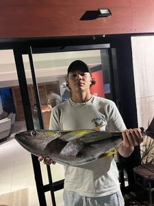 Yellowfin Tuna