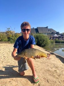 Common Carp