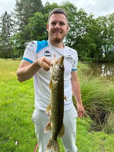 Northern Pike