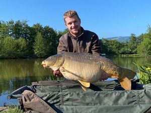 Mirror Carp