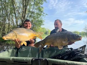 Mirror Carp