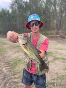 Largemouth Bass