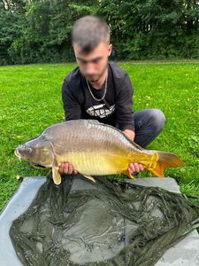 Mirror Carp