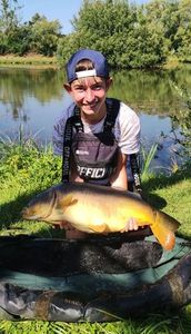 Mirror Carp