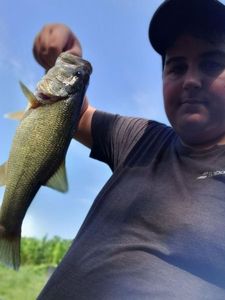 Largemouth Bass