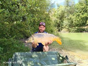 Mirror Carp