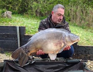 Common Carp