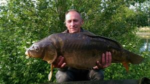 Mirror Carp