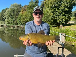 Tench
