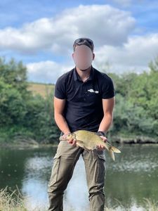 Common Bream