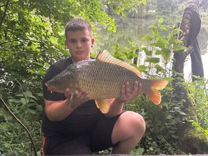 Common Carp