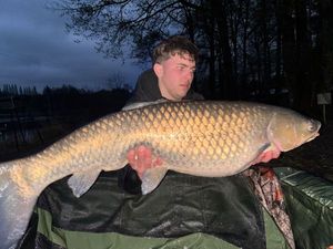 Grass Carp