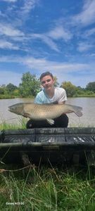 Grass Carp