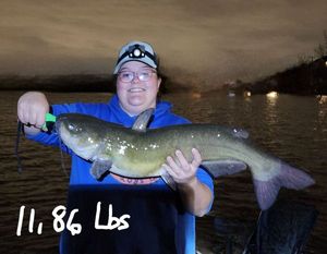 Channel Catfish