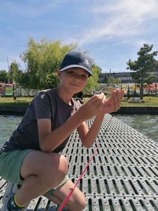 European Perch