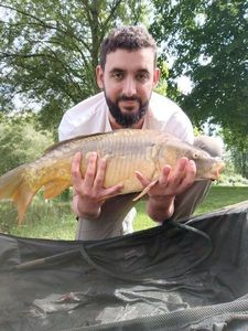 Mirror Carp