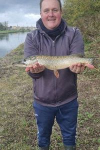Northern Pike