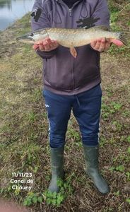 Northern Pike