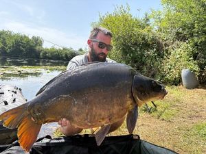 Mirror Carp