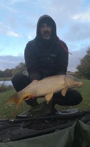 Common Carp