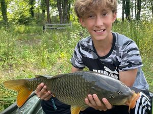 Common Carp