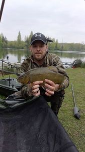Tench