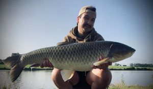 Grass Carp