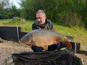 Mirror Carp