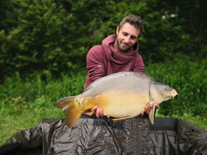 Mirror Carp