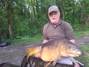 Mirror Carp