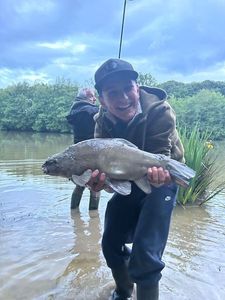 Tench