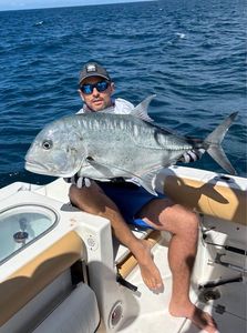 Giant Trevally (GT)