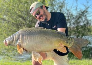 Mirror Carp