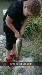 Largemouth Bass