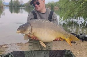 Mirror Carp