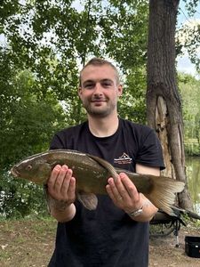 Tench