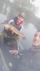 Northern Pike